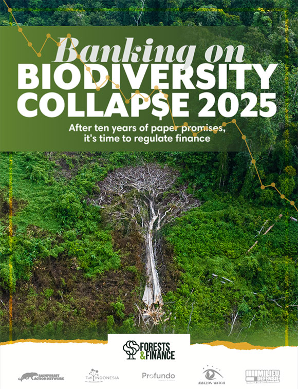 Banking on Biodiversity Breakdown