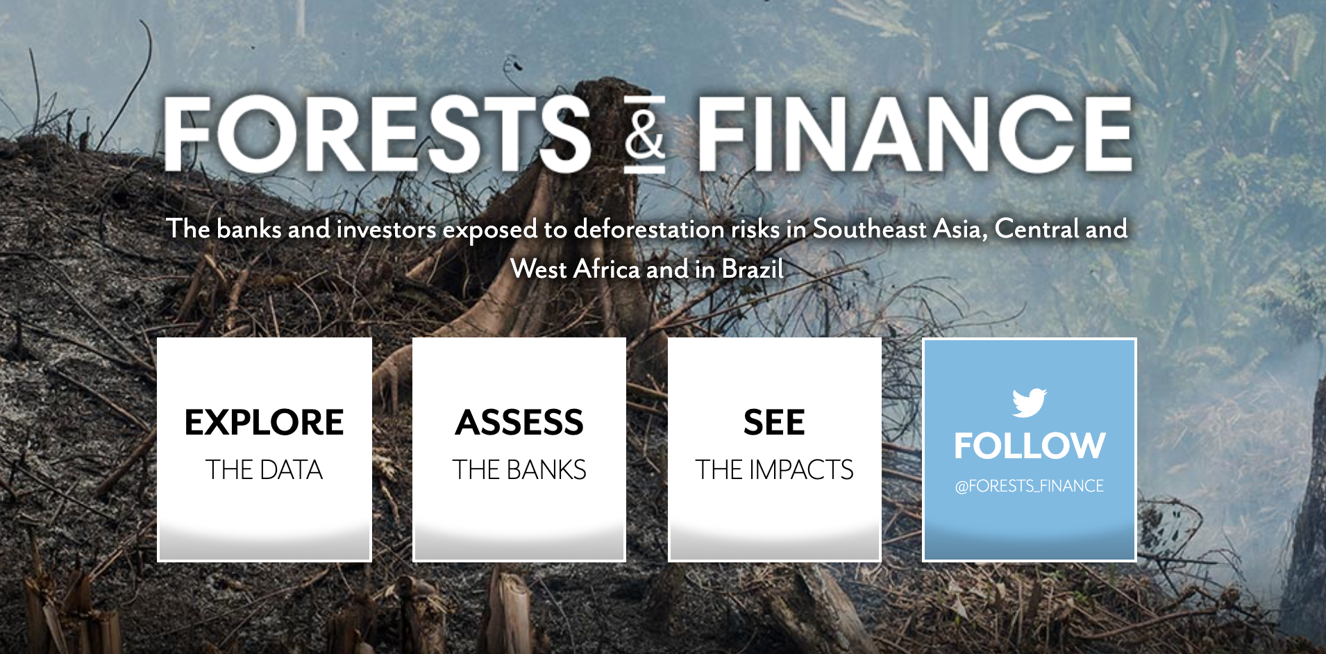 Explore The Data Forests Finance