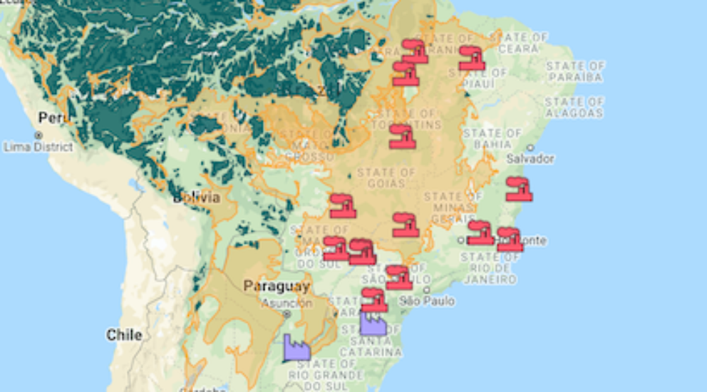 Two Sides Of The Same Coin How The Pulp And Paper Industry Is Profiting From Deforestation In The Amazon Rainforest Forests Finance