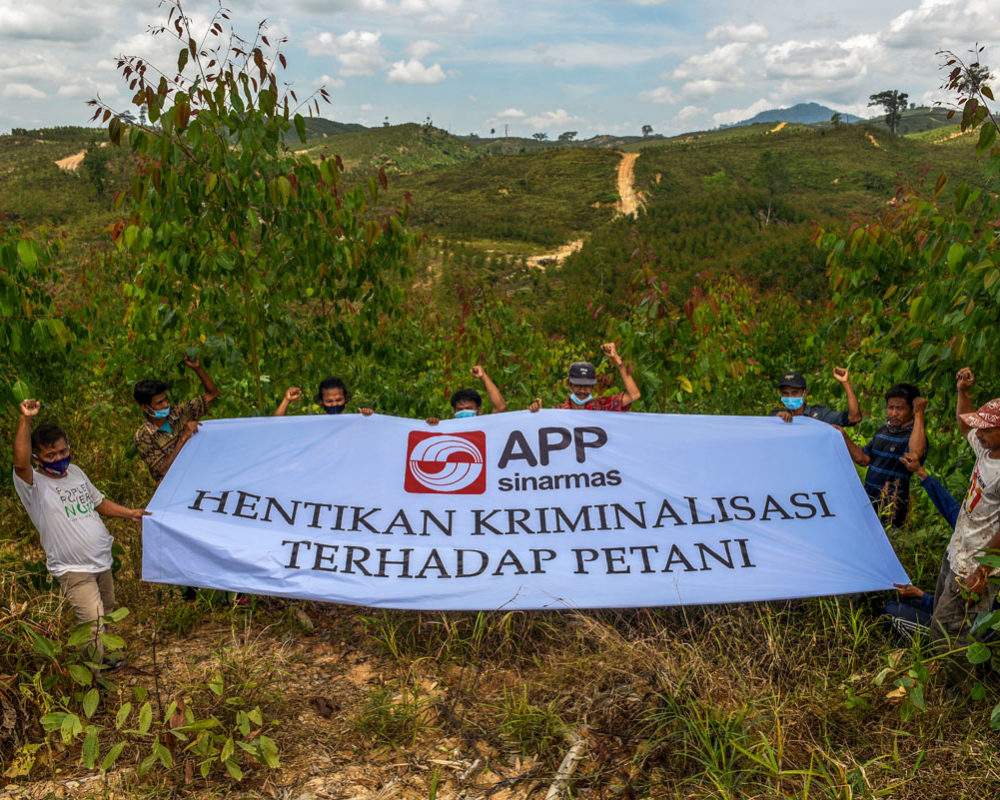 Farmers in Pelayang Tebat – Lubuk Mandarsah hold a banner reading APP/Sinarmas: Stop Criminalizing Farmers (Photo: RAN/ WALHI Jambi/ Mushaful Imam)
