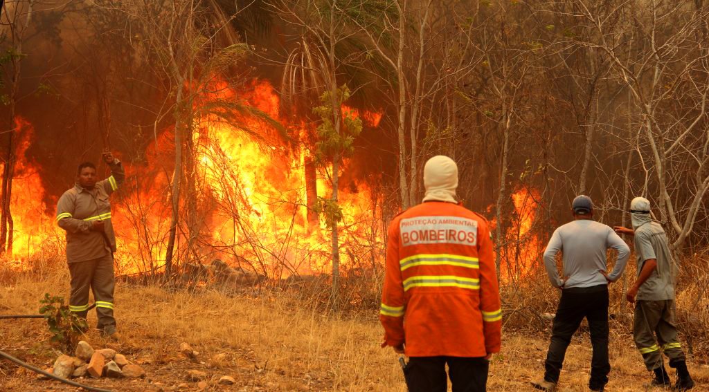 Fire in the Pantanal: former Itaú president's farm burns for the second  consecutive year - Forests & Finance
