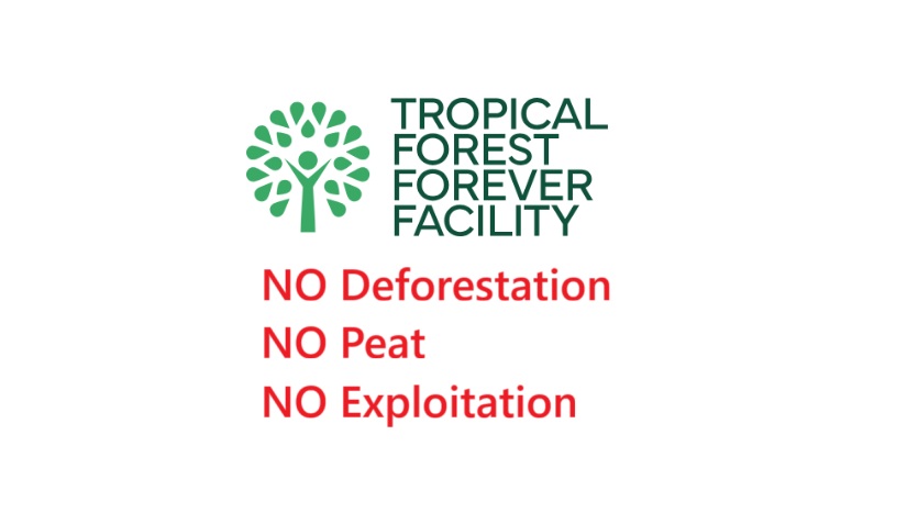 TFFF needs strong NDPE criteria