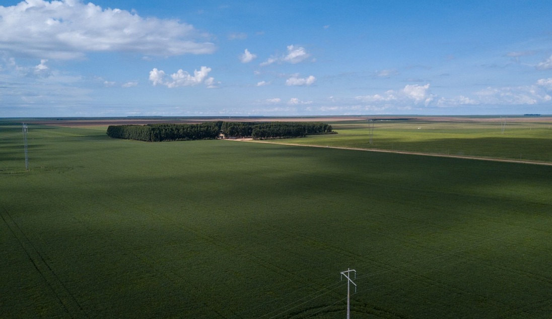 Fornecedor da Cargill com histórico de autuações ambientais obteve crédito privado no mercado de capitais por meio da emissão de um Certificado de Recebíveis do Agronegócio. Na foto, área cultivada com soja no Cerrado (Foto: Fernando Martinho/Repórter Brasil)